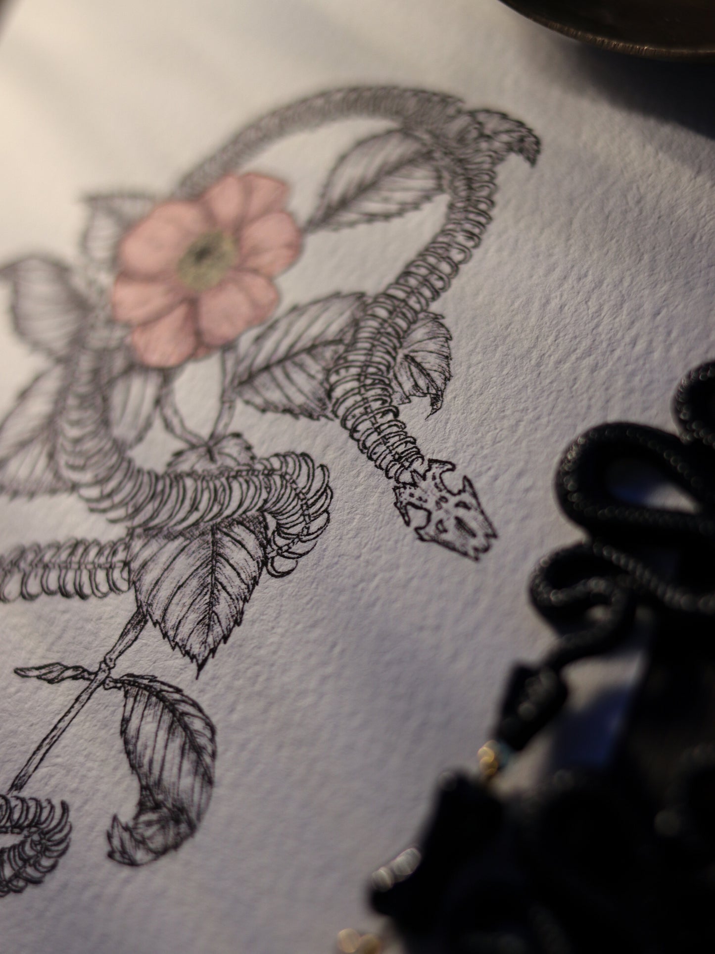Art Print - Snake And Flower