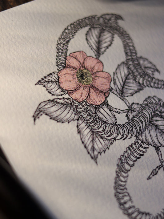 Art Print - Snake And Flower