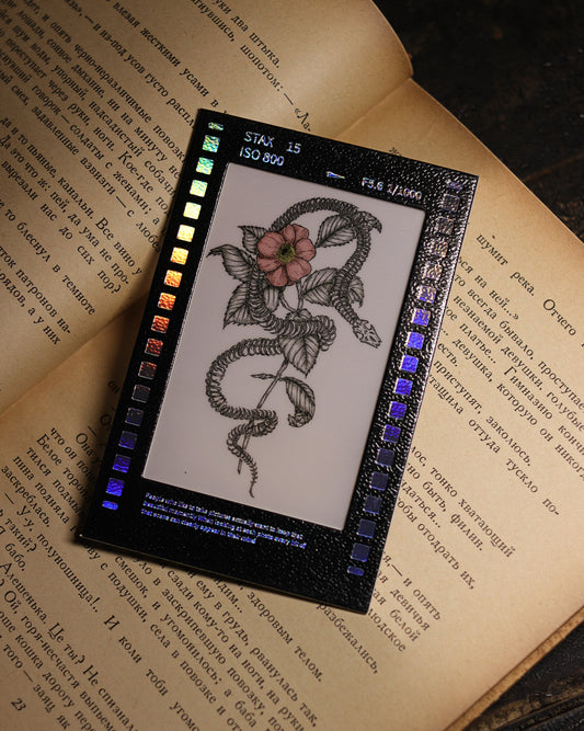 Film Style Card - Snake and Flower