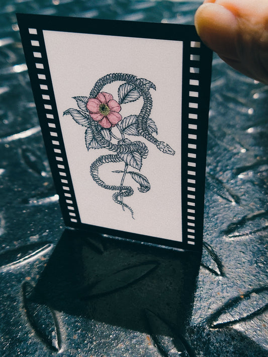 Film Style Plastic Card - Snake and Flower