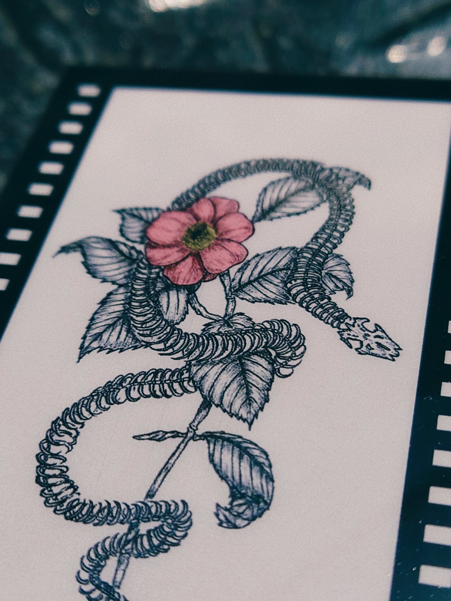 Film Style Plastic Card - Snake and Flower