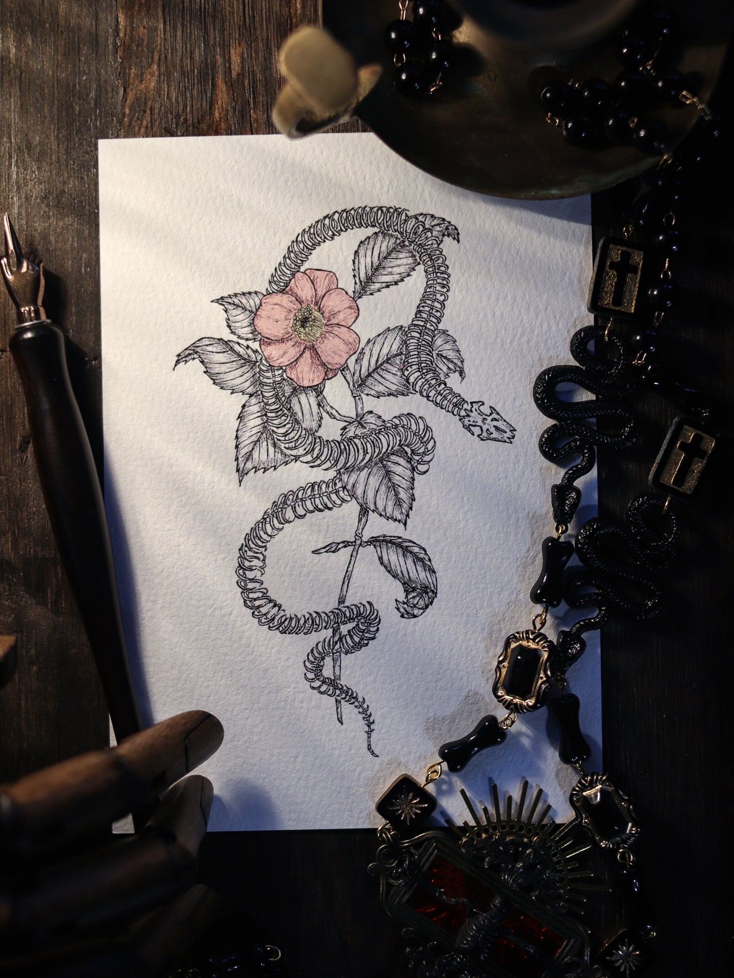 Art Print - Snake And Flower