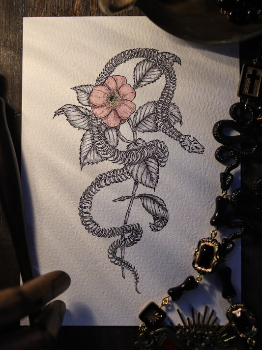 Art Print - Snake And Flower