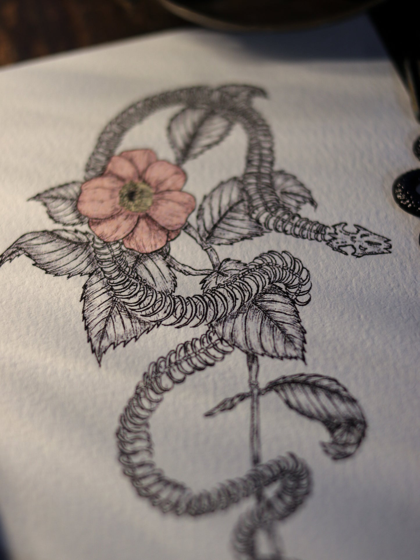 Art Print - Snake And Flower
