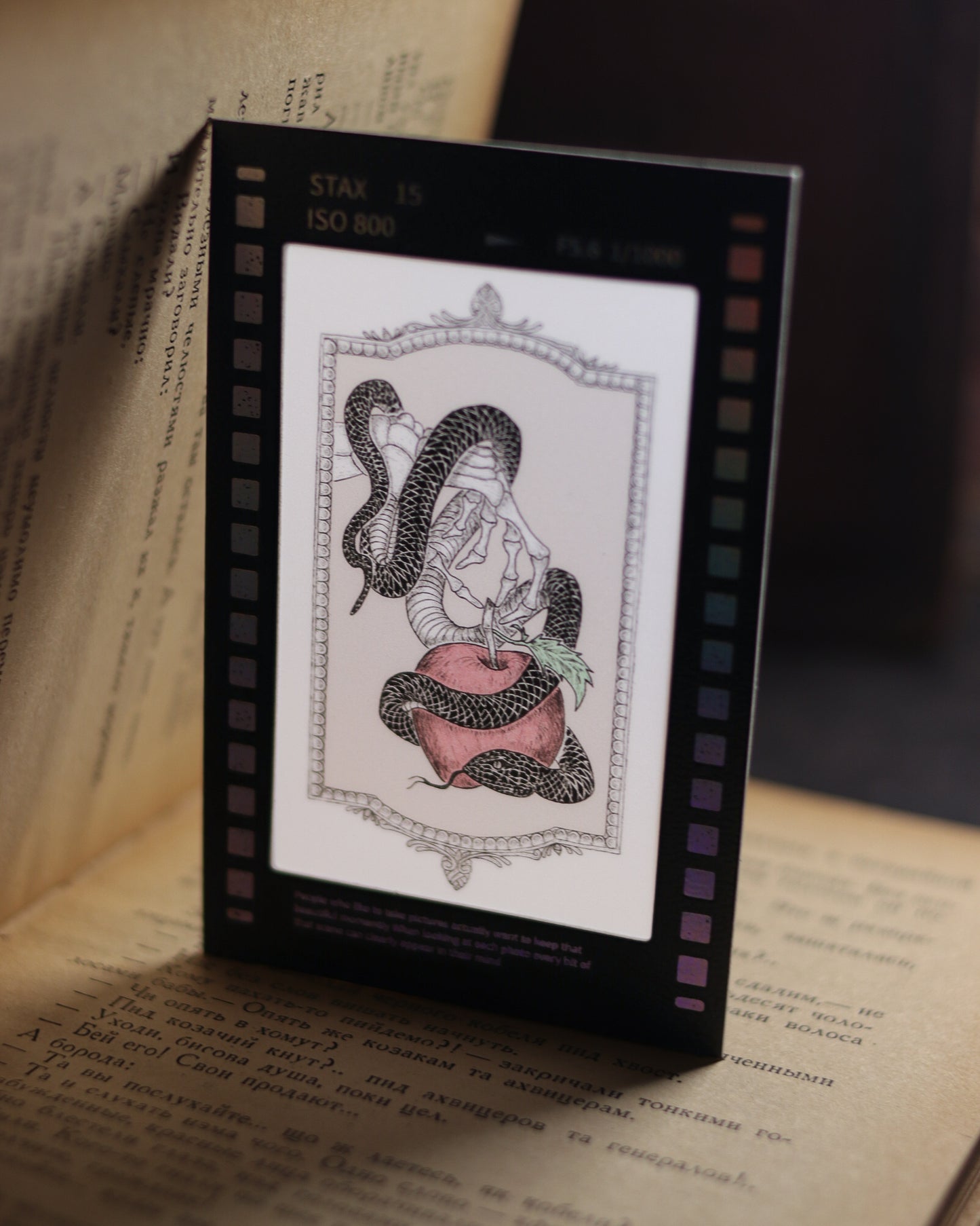 Film Style Card - Black Snake In Paradies