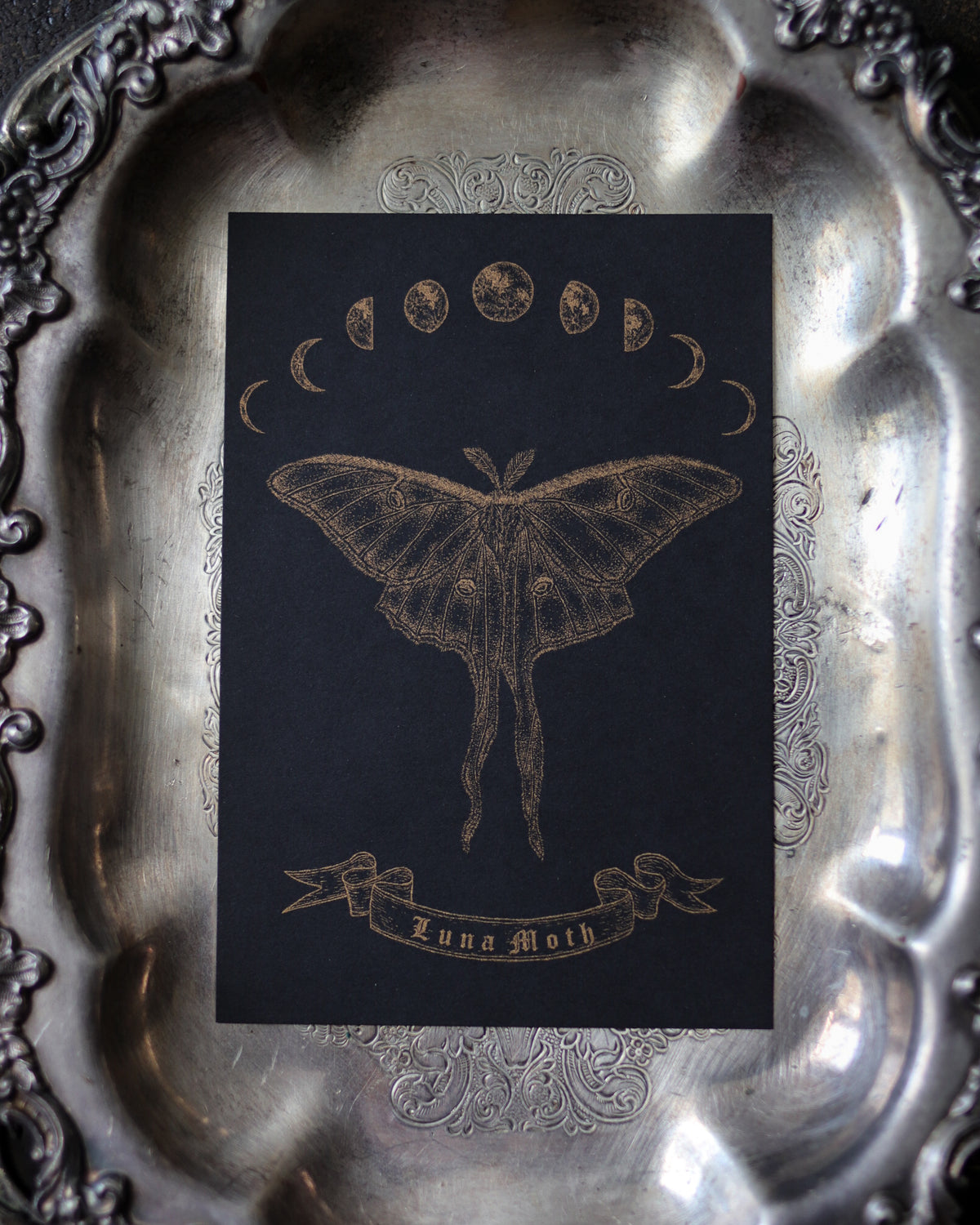 RISO Art Print - Luna Moth 孔版印刷複製畫 - Luna Moth