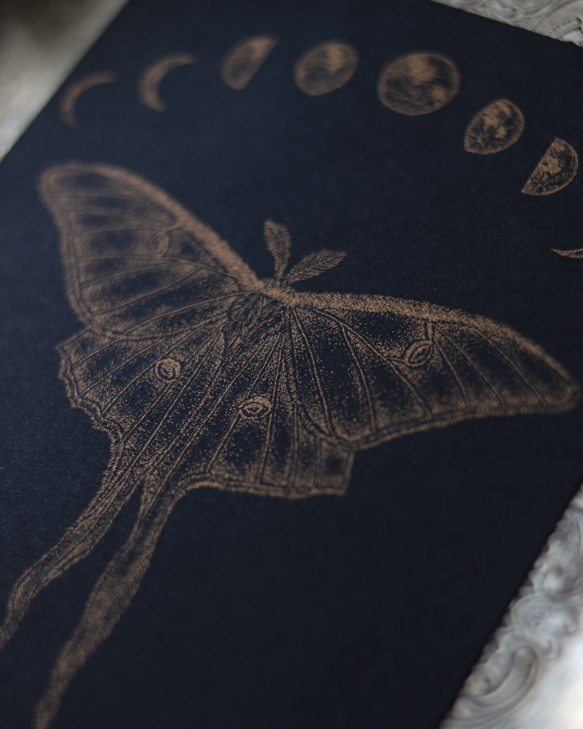 RISO Art Print - Luna Moth 孔版印刷複製畫 - Luna Moth
