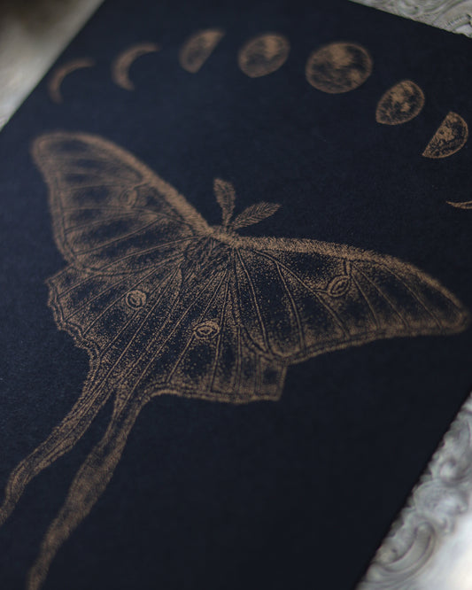 RISO Art Print - Luna Moth 孔版印刷複製畫 - Luna Moth