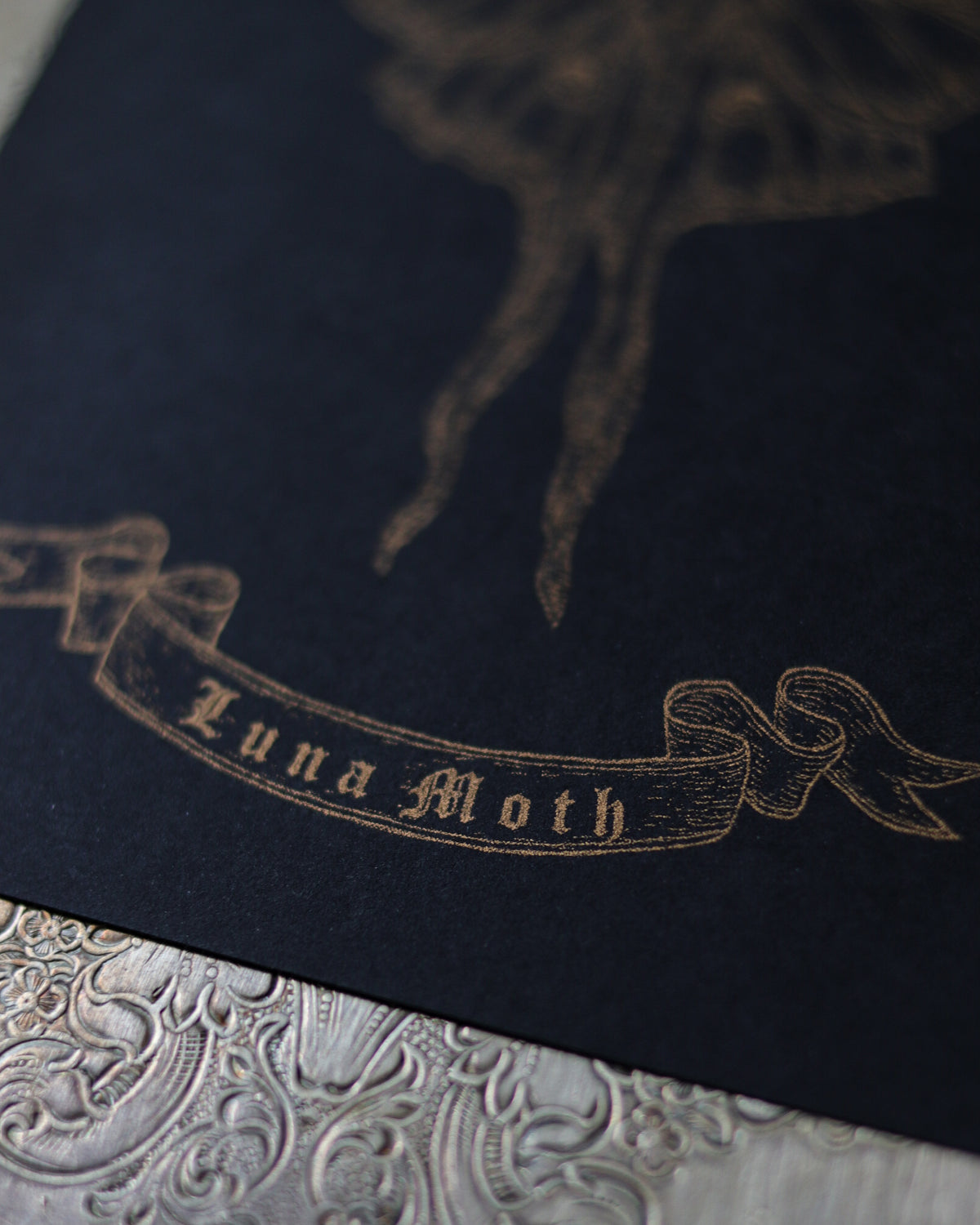 RISO Art Print - Luna Moth 孔版印刷複製畫 - Luna Moth