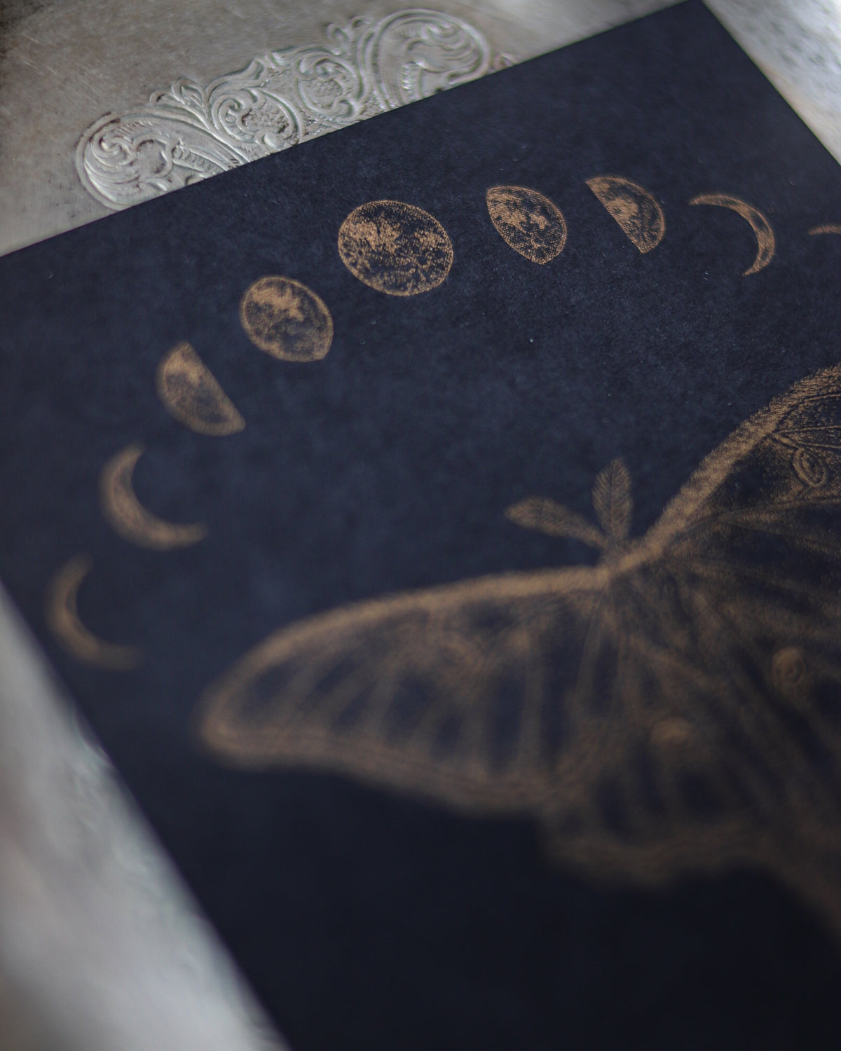 RISO Art Print - Luna Moth 孔版印刷複製畫 - Luna Moth