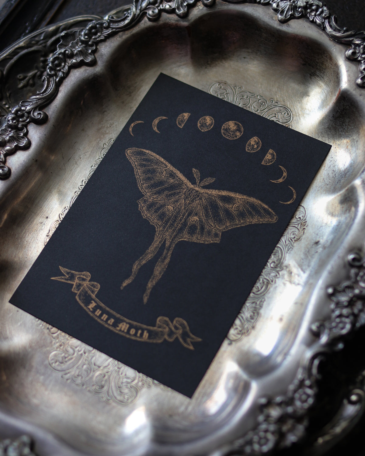 RISO Art Print - Luna Moth 孔版印刷複製畫 - Luna Moth