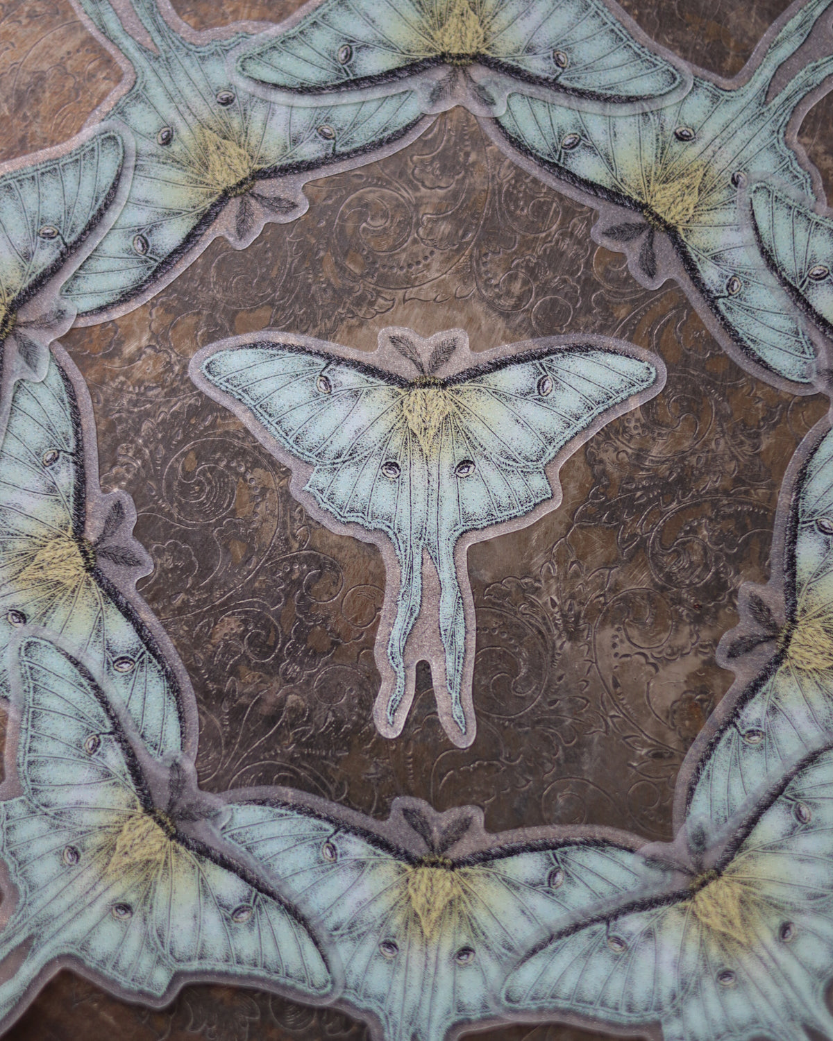 Sticker - Luna moth 貼紙 - Luna moth