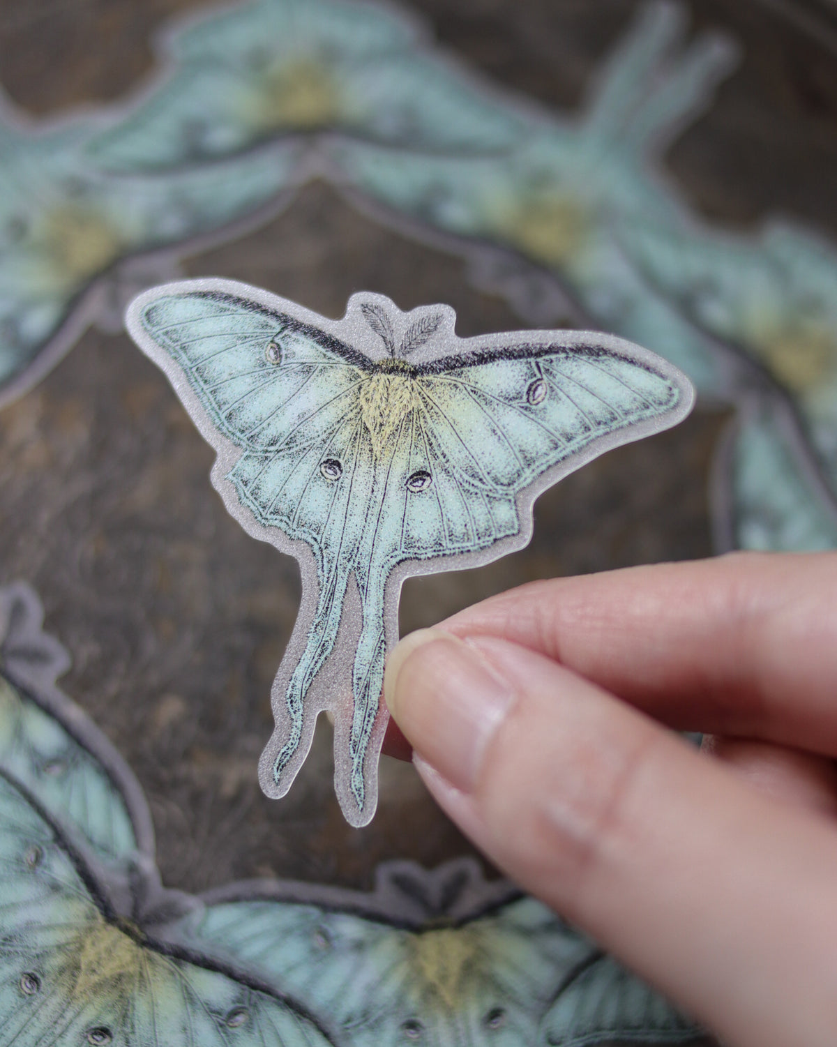 Sticker - Luna moth 貼紙 - Luna moth