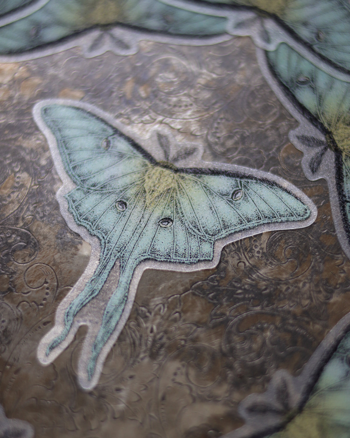 Sticker - Luna moth 貼紙 - Luna moth
