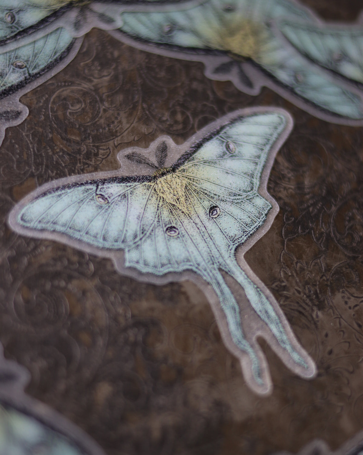 Sticker - Luna moth 貼紙 - Luna moth