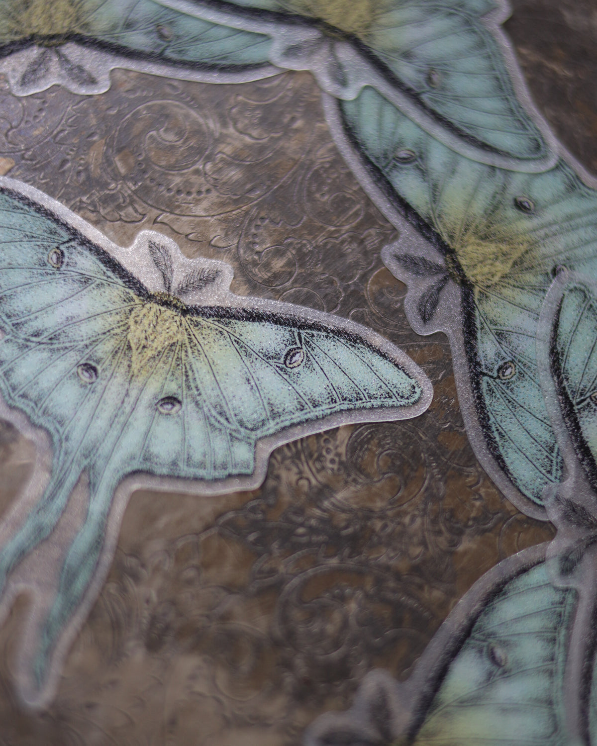 Sticker - Luna moth 貼紙 - Luna moth