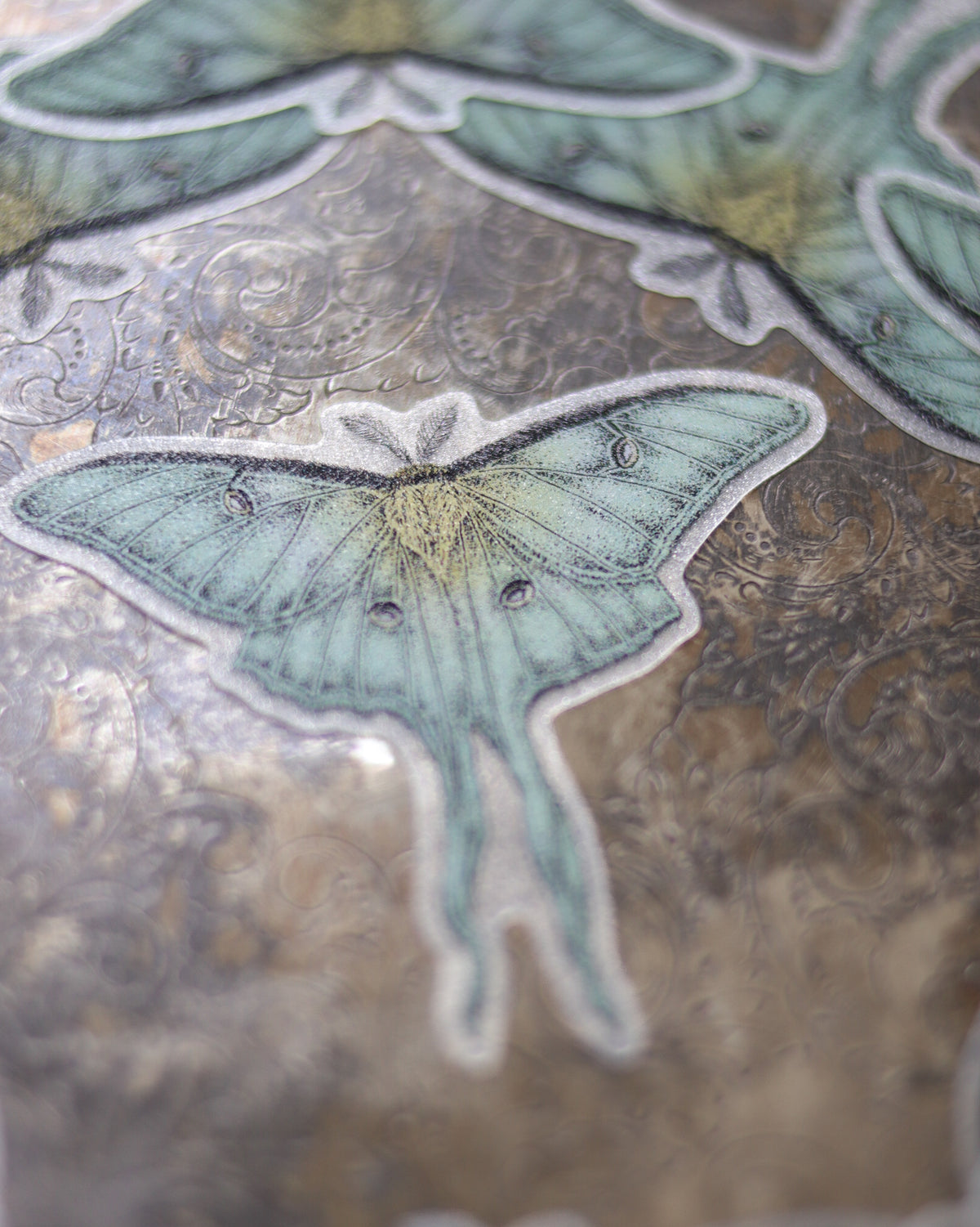 Sticker - Luna moth 貼紙 - Luna moth