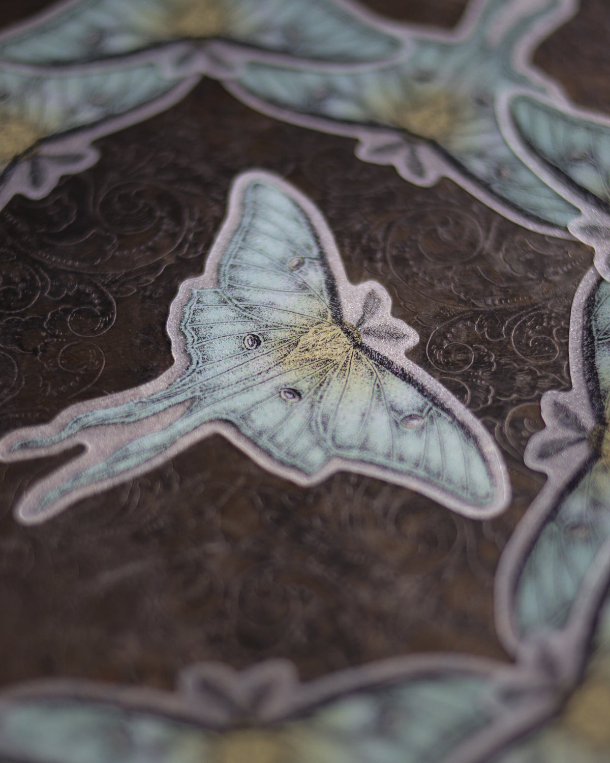 Sticker - Luna moth 貼紙 - Luna moth