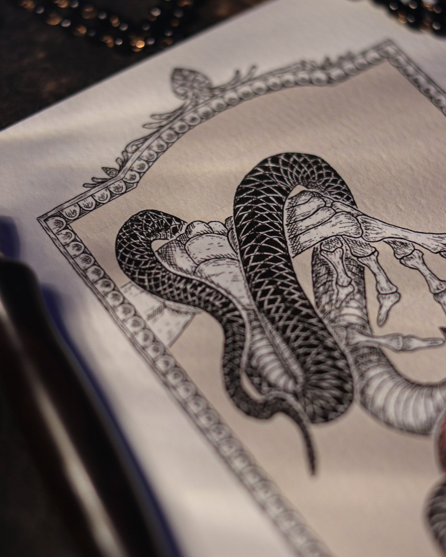 Art Print - Black Snake In Paradies