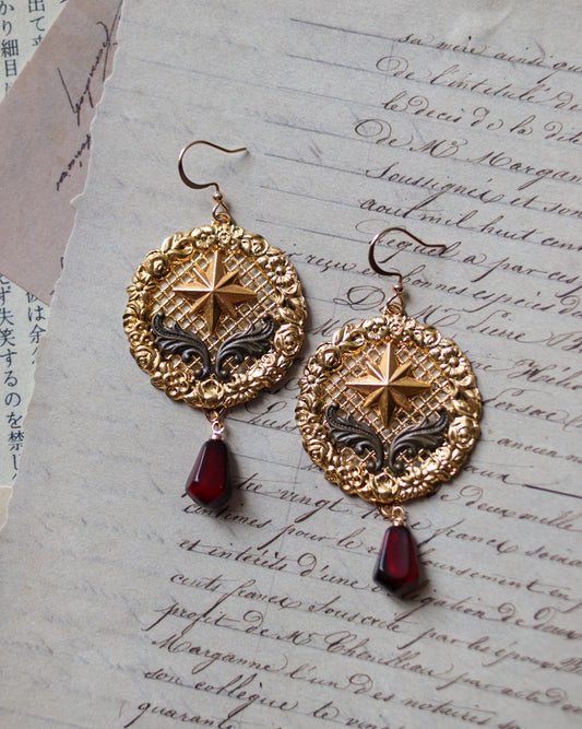 Earrings - Twins star