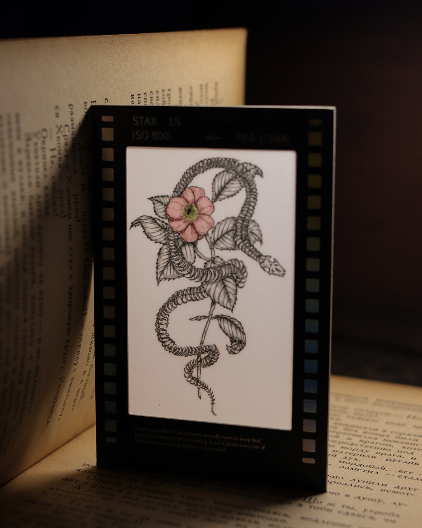 Film Style Card - Snake and Flower