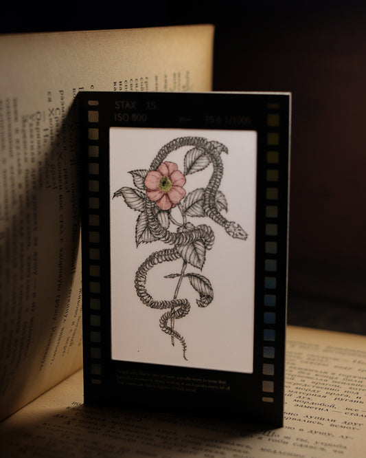 Film Style Card - Snake and Flower